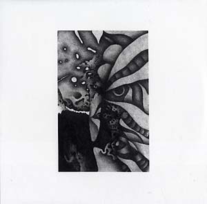 VIBRACATHEDRAL ORCHESTRA - 