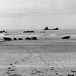 ALVARIUS B.: Alvarius B. CD