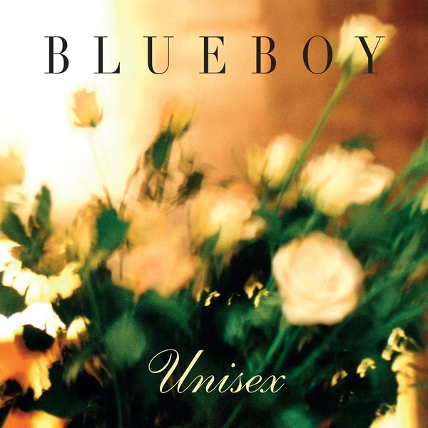 通販 送料無料  COLOURFUL A - LP - Unisex : BLUEBOY STORM Exposure Forced - その他