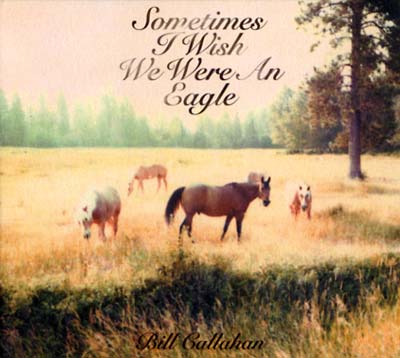 Bill Callahan - Sometimes I Wish We Were An Eagle | Drag City