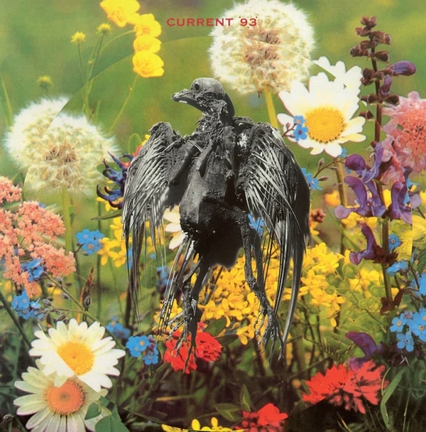 英LP Current 93 Nature Unveiled DOARXVIII Cashens Gap /00260 Nature Unveiled [Vinyl] - Amazon.com Music