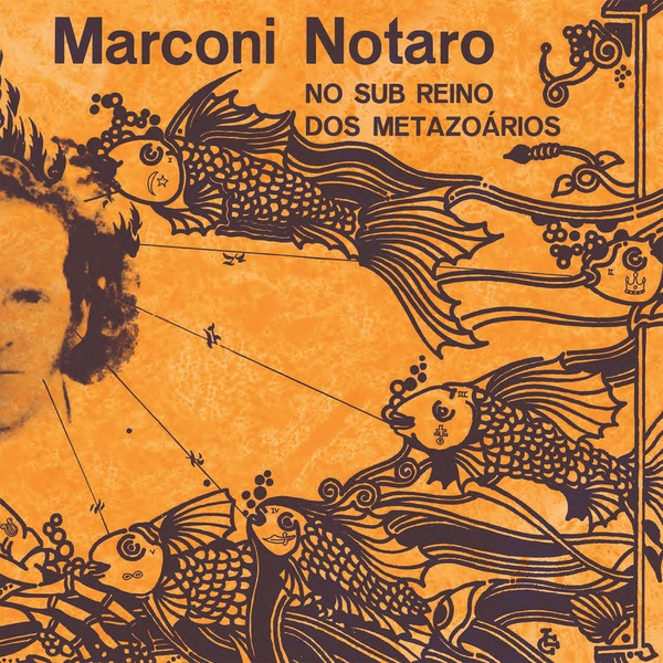 西LP Marconi Notaro No Sub Reino Dos zoarios FD029 Fatiado Discos /00260 MARCONI NOTARO : No Sub Reino dos Metazoarios - LP - FATIADO