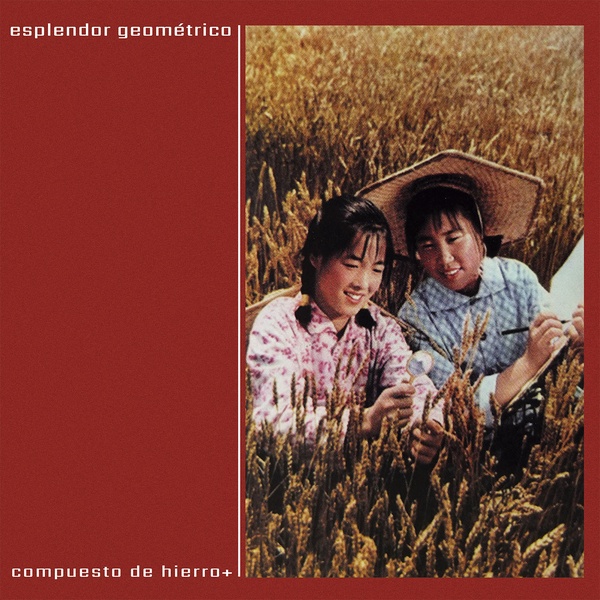 ESPLENDOR GEOMETRICO : Compuesto de Hierro+ - 2LP - GEOMETRICK