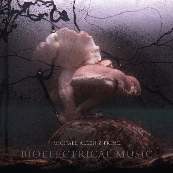 洋楽 Michael Allen Z Prime - 3CD + Blu-ray Michael Allen Z Prime - 3CD + Blu-ray