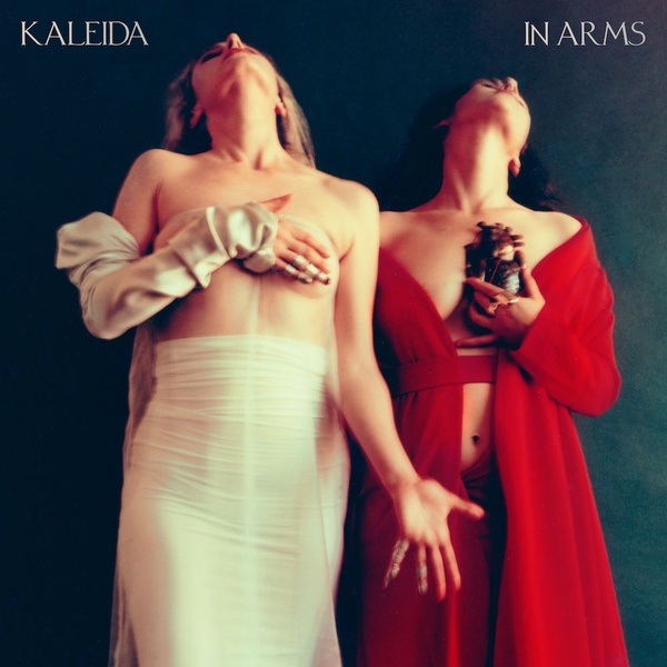 【新品未開封・送料無料】 Arms In : KALEIDA - Exposure Forced - ONE EMBASSY - 2LP その他