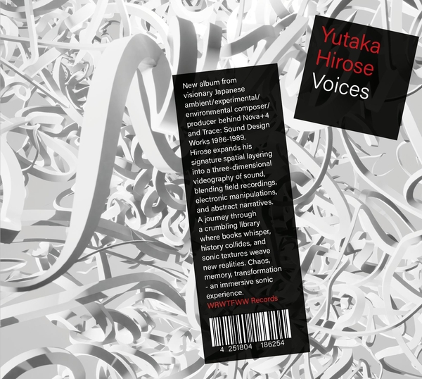 YUTAKA HIROSE : Voices - 2LP - WRWTFWW RECORDS - Forced Exposure