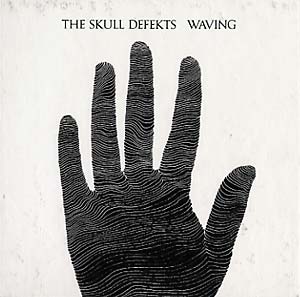 THE SKULL DEFEKTS - 