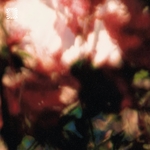 View Product Details