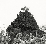 View Product Details