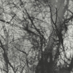 View Product Details