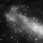 View Product Details