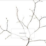 View Product Details