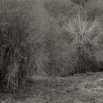 View Product Details