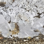 View Product Details