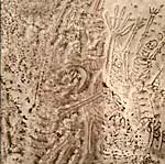View Product Details