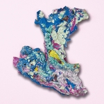 View Product Details