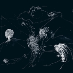 View Product Details