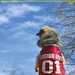 View Product Details